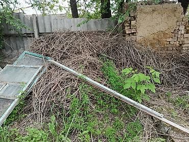 Отдам даром: Отдам даром, Бесплатно!!! дрова,САМОВЫВОЗ: РАЙОН КИРПИЧНЫЙ,КРАСНЫЙ — 3