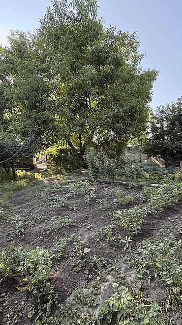 Продажа домов: Продаётся жилой дом с Земельным участком в с. Новопокровка — 9