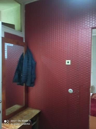 1000: 1 комната, 33 м², 105 серия, 4 этаж, Старый ремонт — 5