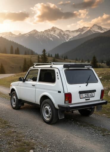 диски на авто r14: ВАЗ (ЛАДА) 4x4 Нива: 2010 г., Механика, Бензиновая, Внедорожник — 2