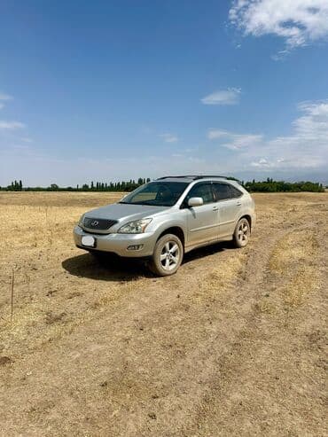 Lexus RX: 2004 г., 3.3 л, Автомат, Газ, Кроссовер