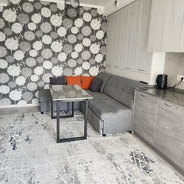 1 комната, Без подселения, С мебелью полностью