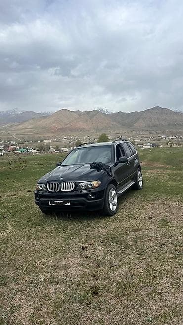 e53 4 8: BMW X5: 2004 г., 4.4 л, Автомат, Бензин, Внедорожник — 1