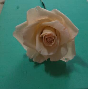 продаю пекарния: Принимаю заказы на изготовление цветов из сахарной пасты для — 8