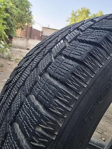 Зимние шины 225/50 R17 94Q - Тип: зимние фрикционные (скандинавский — 1