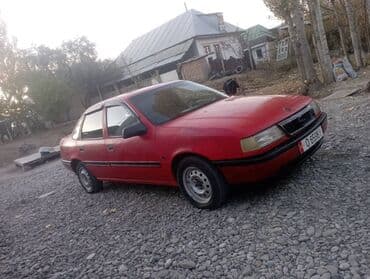 дом обмен на авто: Opel Vectra: 1991 г., 1.6 л, Механика, Бензин, Хетчбек — 3