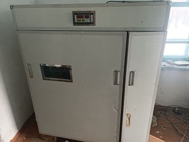Продаётся предварительный инкубатор находится село чалдавар at lalafo.kg Продаётся предварительный инкубатор находится село чалдавар
