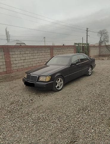 Mercedes-Benz S-Class: 1994 г., 4.2 л, Автомат, Газ, Седан