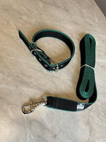 german shepherd: Комплект ошейник+поводок для крупных собак. Амуниция из нейлона — 8