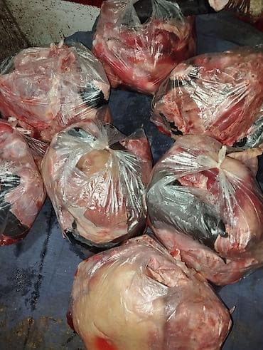 куплю собаку: Куски Мяса Рёбрышки Шеи Переднии и задние лопатки Без — 3