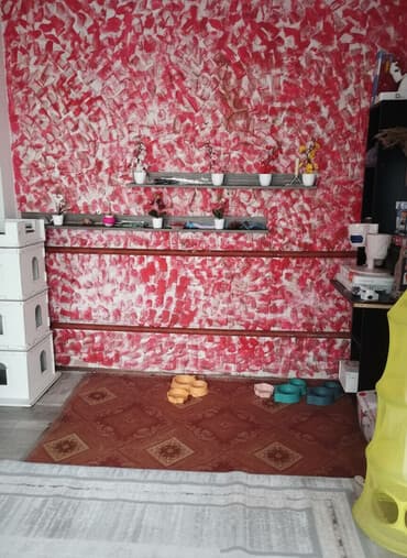 Гостиница для кошечек и маленьких собачек до 5 кг Предлагаем