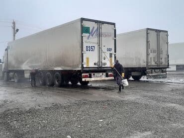 продажа грузовых прицепов бу: Прицеп, Schmitz Cargobull, Рефрижератор, Б/у — 1