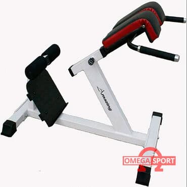 беговая дорожка купить для дома: Гиперэкстензия Amazing 6639 Марка: Amazing Вес: 27 кг Габариты — 1