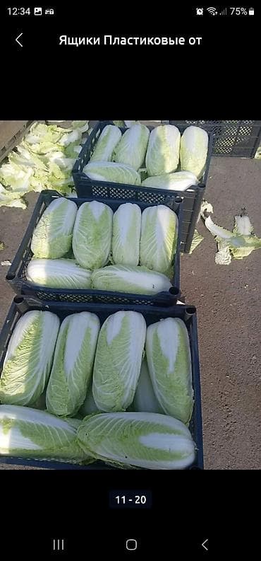 миск оптом: Ящик, Новый — 2