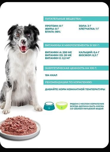 скупка кукуруза: Корм для собак Влажный,вес одной банки 850 грамм чистого — 6