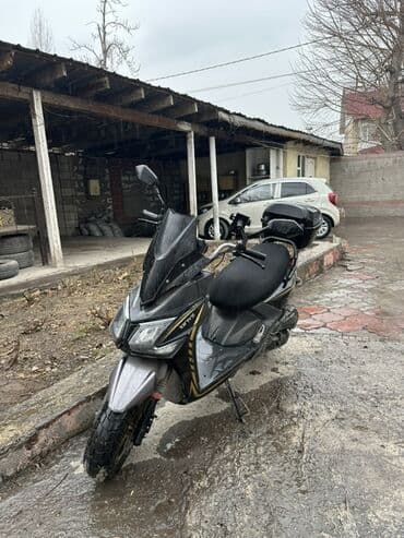 квадроцикл цена в оше: Срочно 
Доставкада жургон эмес — 1