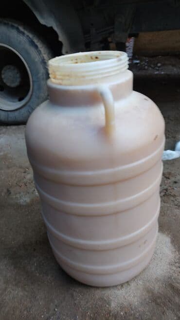 кукурузные качерышки: Токтогулдун таза балы 100% — 3