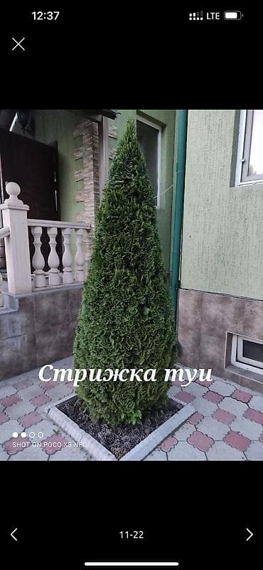 садовник ош: Я Садовник все виды работы Уборка огорода весенний осенний — 1