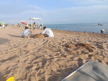 куплю дом в жалалабаде: Номер, ФУРОР ЦО Кыргызское взморье, Бостери, Парковка, стоянка, Охраняемая территория — 16