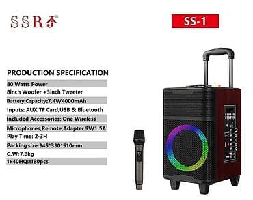 Портативная акустическая система SSRJ SS-1 - Мощность: 80 Вт -