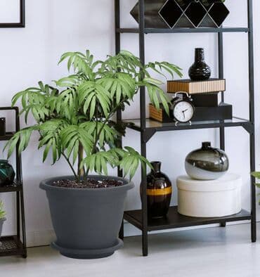 афродита баня: Горшок для цветов с фиксируемым поддоном InGreen коллекция Aphrodite — 1