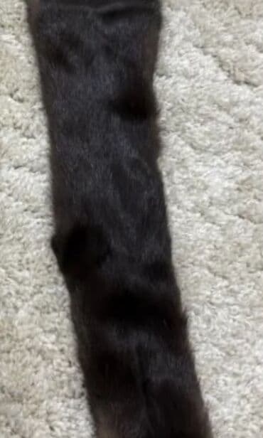 Айымдардын бут кийими: Меховые норковые шкурки. 2шт. Новые. Цельношкурные. Отлично подойдет — 1