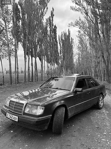 ом 612: Mercedes-Benz W124: 1992 г., 2.3 л, Автомат, Газ, Седан — 6