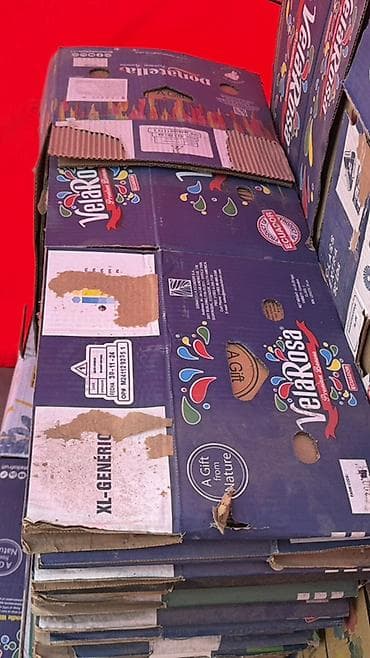 биндеры 8 листов для дома: Ящик — 4