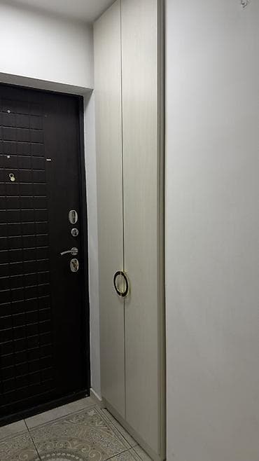 Шкафтар: Кире бериш үчүн шкаф, Күзгүсүз, ЛДСП — 1