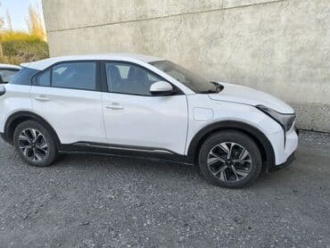 спринтер голова: Арендага электромобиль берилет. күнүнө 1500 сомдон. жасай турган иши — 4