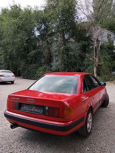 Audi 100: 1991 г., 2.3 л, Кол менен иштөөчү, Газ, Седан — 6