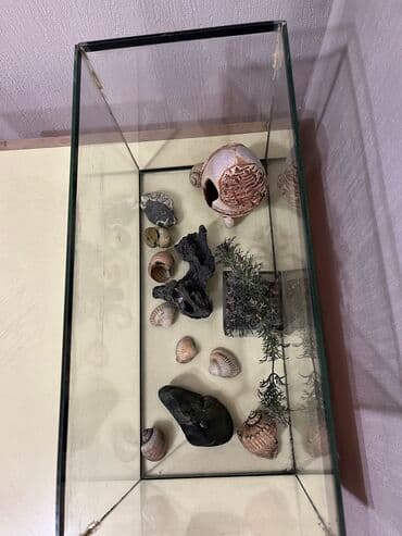 домики с когтеточкой для кошек: Аквариум
Объем 20 литров 
41 длина, 19 ширира, 25 высота — 3