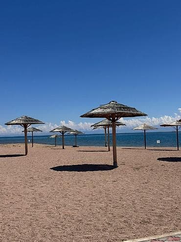 продаю дом бишкек чон арык: Сдается квартира на Иссык куле 1+1 студия. для семьи из 4-5 человек — 9