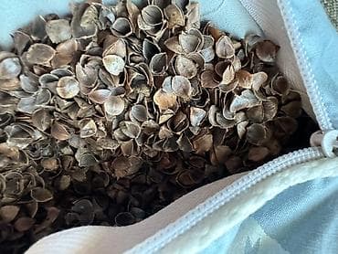 Матраска арналган каптамалар жана топперлер: Подушка с наполнителем из гречневой лузги. Очень много положительных — 4