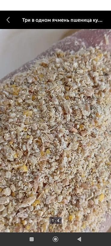 мясо на ошском рынке: 3 в 1 ячмен кукуруза пшеницы 26с Отруби улпак кебек рознычный 22 сом — 7