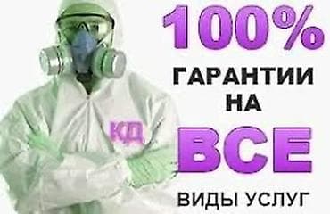 Дезинфекция, дезинсекция, | Блохи, Вирусы, микробы, Клопы, | Кафе, магазины, Квартиры, Дворы