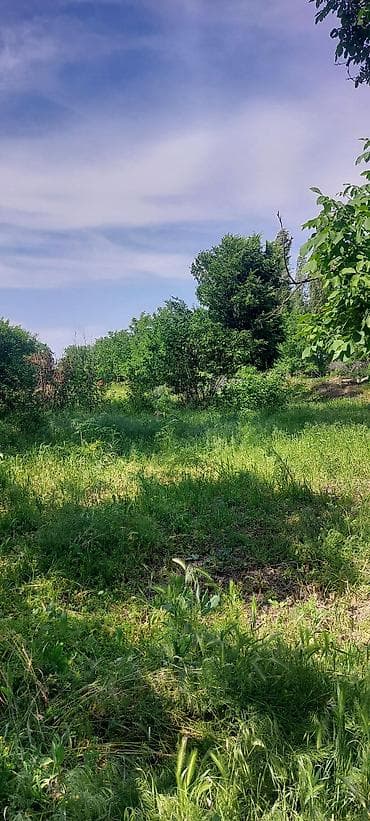 питомник розы: Дом с участком в зелёном саду. Село Туз, Иссык Атинский район — 5