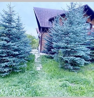 гостиницы на ночь: Готовое бизнес предложение на круглый год. Летом - кумысолечение — 10