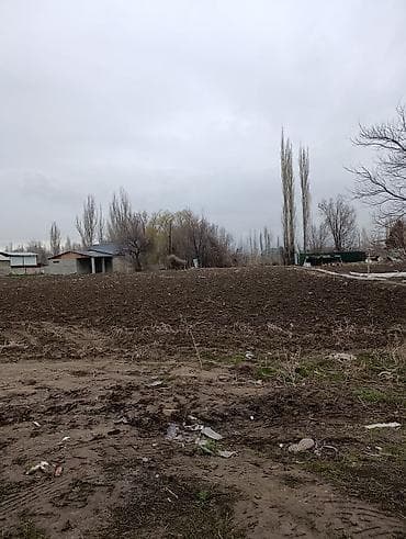 участок сатылат бишкек 2022: Айыл чарба үчүн — 3
