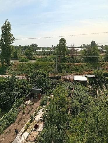 Квартиры: 3 комнаты, 56 м², Индивидуалка, 5 этаж, Старый ремонт — 6
