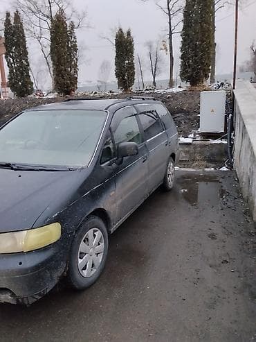 вампер хонда одиссей: Honda Odyssey: 1995 г., 2.2 л, Ручные, Бензин, Минивэн — 2