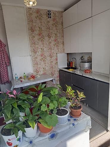 nova grant: 1 комната, С мебелью полностью — 4