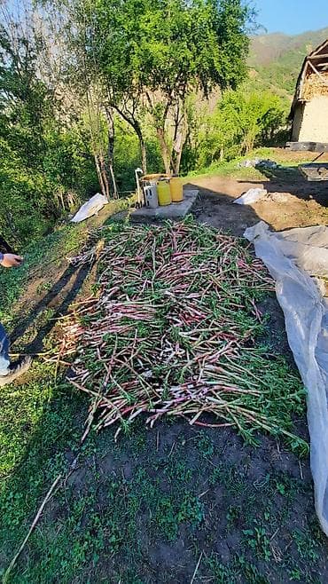 ремонт насоса воды: Жапайы тоодо оскон кымыздык оптом баада сатылат количество коп — 2