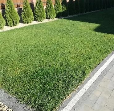 🟥Сеем газон🟥 посев газона 🟥 Удобрения для газона 🟥 Обработка газона от