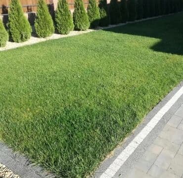 удобрение для газона: 🟥Сеем газон🟥 посев газона 🟥 Удобрения для газона 🟥 Обработка газона от — 1