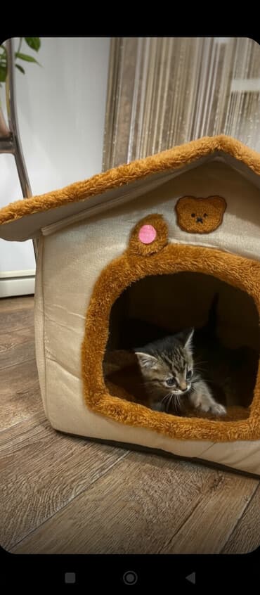 Мягкий и тёплый домик для питомца с крышей на молнии и подушкой at lalafo.kg Мягкий и тёплый домик для питомца с крышей на молнии и подушкой