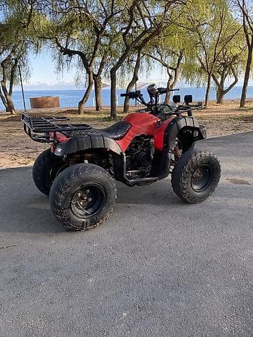 сервопривод купить: Квадроцикл Подходит для: - Прогулок по бездорожью, рыбалки, охоты - — 2