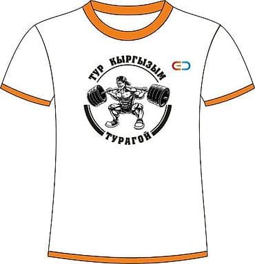 Принимаю заказ Шелкография и дтф наклейка прямой печать любой модели