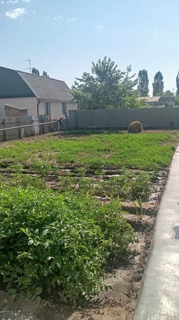 барачные дома в байтике: Үй, 80 кв. м, 4 бөлмө, Менчик ээси — 1