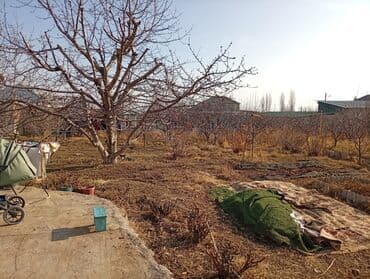 частные дома: 6 соток — 5